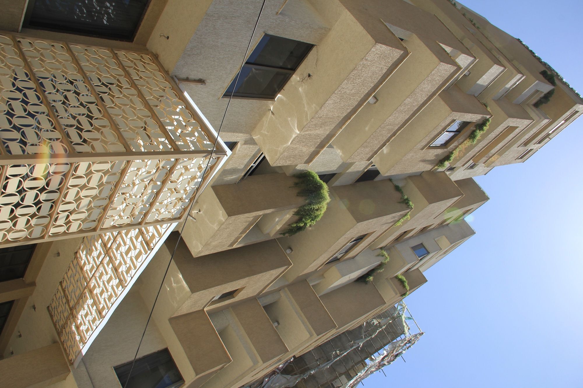 Momona Hotel Addis Ababa Luaran gambar